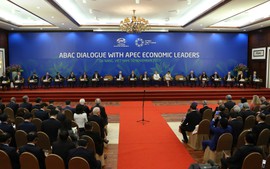陈大光主席主持APEC领导人与APEC工商咨询理事会对话会